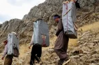 آغاز واردات به رویه کولبری با قانون جدید در آذربایجان‌غربی