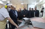 بازدید استاندار گیلان از واحدهای تولیدی شهرك صنعتی منطقه آزاد انزلی