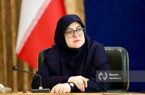 مهاجرانی: خروج اتباع غیر مجاز خواست مردم است/ تقدیر دولت از وزیر علوم