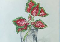 هنرمندی میان معماری و نقاشی هنرمندی میان معماری و نقاشی