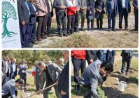 کاشت نهال به مناسبت هفته تربیتبدنی و ورزش در نهاوند کاشت نهال به مناسبت هفته تربیتبدنی و ورزش در نهاوند