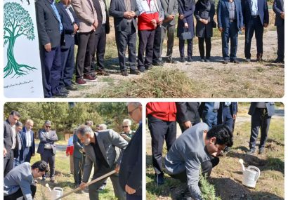 کاشت نهال به مناسبت هفته تربیتبدنی و ورزش در نهاوند  کاشت نهال به مناسبت هفته تربیتبدنی و ورزش در نهاوند