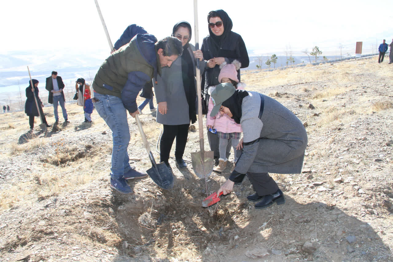 ۲۰۰۰ نهال به نام و یاد مادران استان همدان غرس میشود