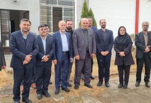 فعال‌سازی واحدهای صنعتی راکد در رزن