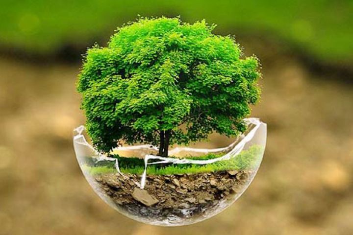 مشارکت حداکثری مردم در برنامه های هفته منابع طبیعی؛ لازمه تحقق شعار «سرمایه‌گذاری در منابع طبیعی، زمینه‌ساز تولید پایدار»