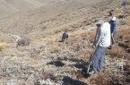 آماده‌سازی بستر کاشت ۵۰۰ اصله نهال در روستای قلعه ذراتی با مشارکت مردمی