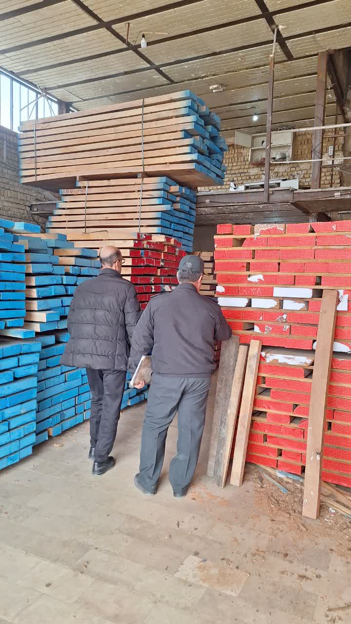 کشف ۲ تن چوب قاچاق در ملایر